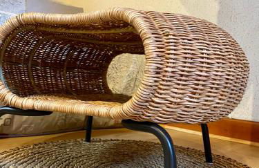 Appartement Chalet à 1400m - Station du Mourtis - Foto 18