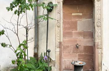 Le Baumann Concept: Appartement de Charme dans un Monument Historique - Foto 31