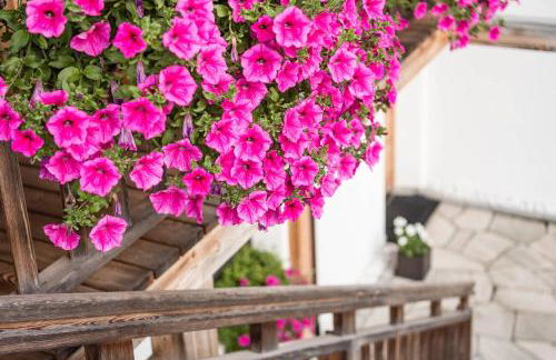 Agriturismo Maso Runch - Foto 30