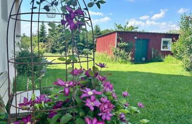 Mosel Urlaub Stabenhof - Whirlpool, Natur und Grill - Foto 58