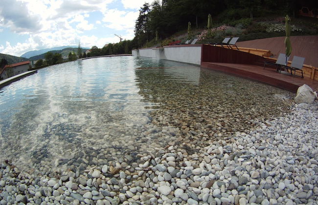 Apartments Beeland Skok Mozirje - Foto 30