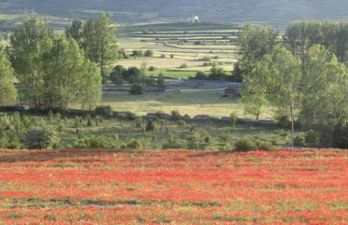 Casa rural La Sabina - Foto 32