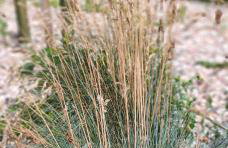 Apartament Pruszcz Park 10 - Foto 21