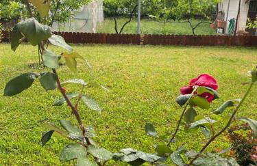 WOODEN HOUSE IN IOANNINA - Foto 39