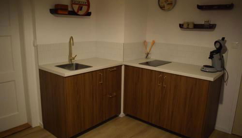 Le 70s 2 pièces proche Colmar - Photo 4