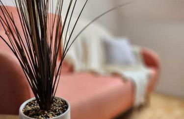 Gîte Animals King'Dôme 8min du Zoo de Beauval - Foto 37