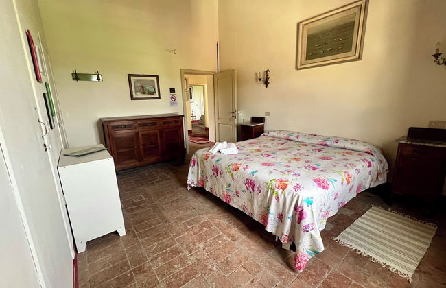 Fattoria Podere i Luoghi - Foto 16