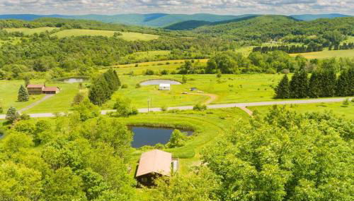 Hamden Hill House - Photo 4