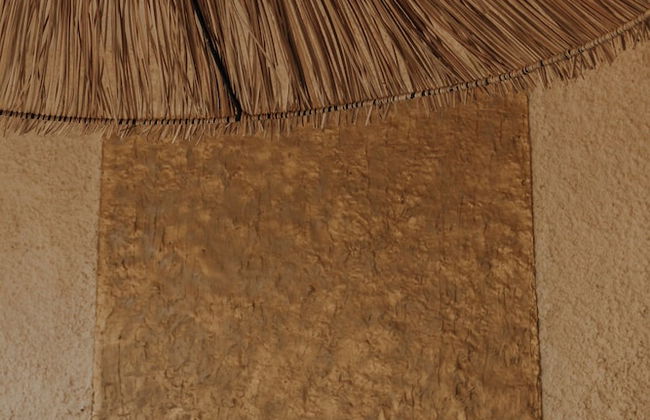 San Marcos Properties - Foto 35