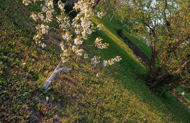 DOM w JESIONACH Brajniki - działka 1 HEKTAR - Photo 24