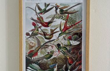 Relax under the mulberry tree - Foto 61