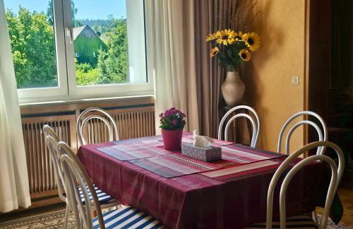 WX Home - Willkommen in Ihrer Ferienwohnung in Idar-Oberstein - Foto 13