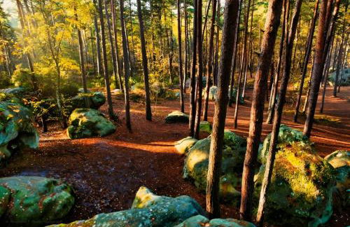 Gîte à la ferme avec sauna, forêt de Fontainebleau - Foto 24