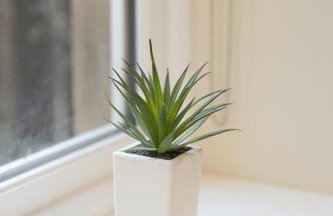 New 3-Bedroom Apartment Close to City Centre - Foto 36