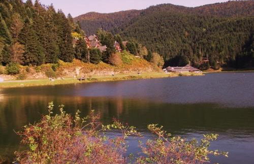 Gite Du Montagnol A Payolle - Foto 36