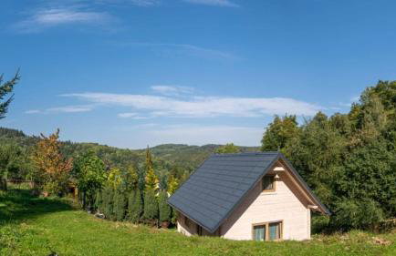 Domek Na Leśnym Wzgórzu - Foto 1