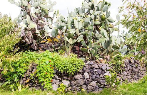 Casa Macchia - Foto 13