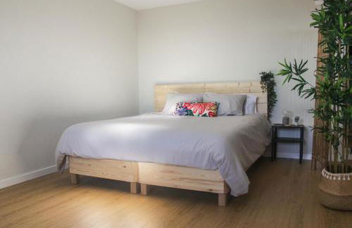 Refúgio das Carquejas - Foto 18