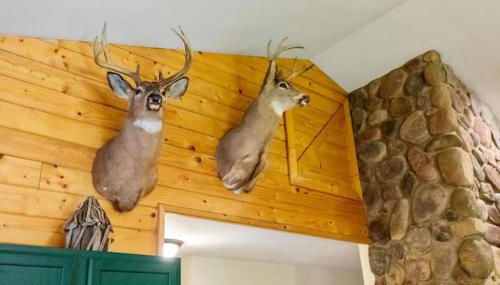 Woodland Cabin Getaway - Foto 3, Other