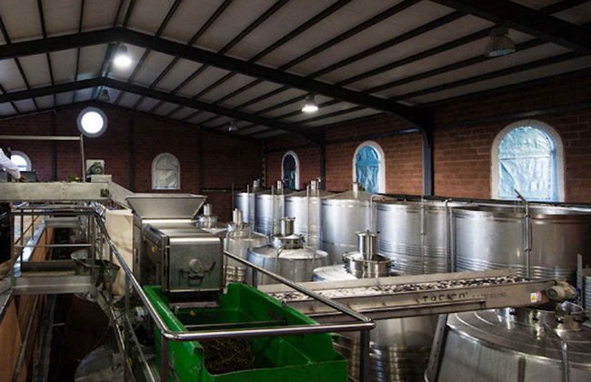 Visita a las bodegas Las Encomiendas - Foto 6