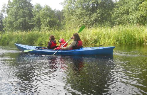 Agroturystyka Borówka - Foto 32