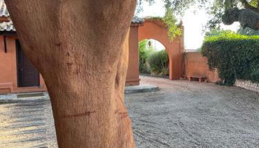 Casa do Sobro - Foto 5