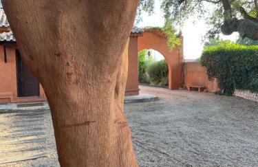 Casa do Sobro - Foto 5