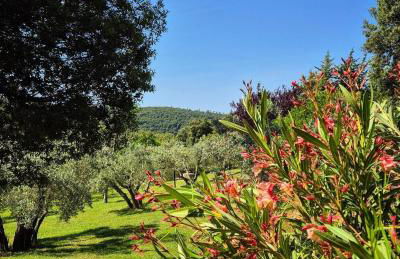 Tenuta Aronne - Foto 46