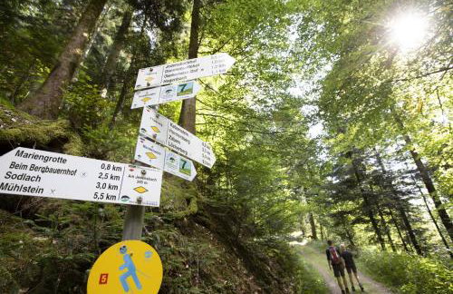 Ferienwohnungen Golla-lang - Foto 25