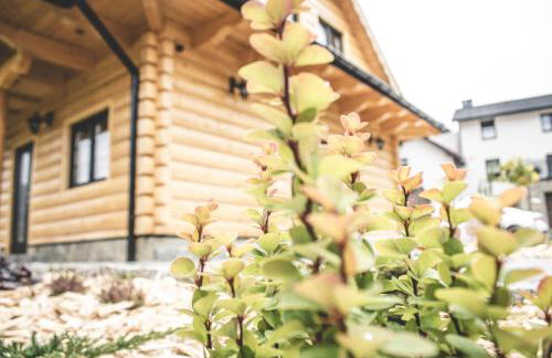 Beczka Bimbru - Góralskie domki do wynajęcia - Foto 10