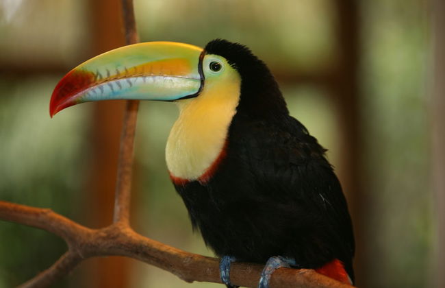 CRParaiso Main House - Foto 34