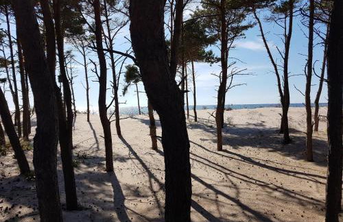 BLUE MARINE APARTAMENT 19 z Tarasem i widokiem na morze przy plaży - Foto 42