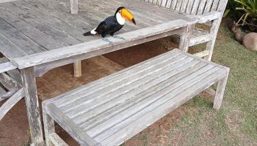 Linda casa em Itaipava - Foto 2