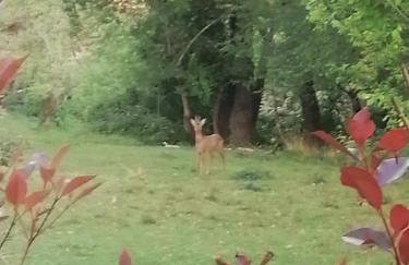 L'Esquiròu du Sécadou - Foto 26