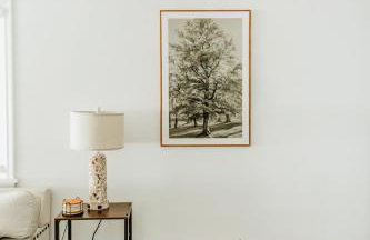 Near Lake, Trails & Logan, Free Paddleboards - Foto 12