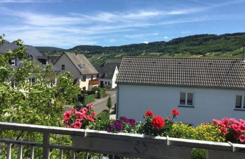 Wein- u. Gästehaus St. Maximin - Foto 27