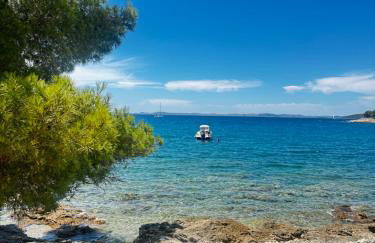 Palm Blues - Photo 73