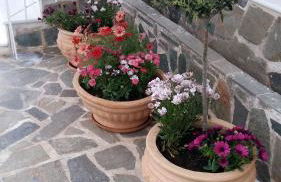 NN Spata Rooms & Suites near Athens airport - Photo 8