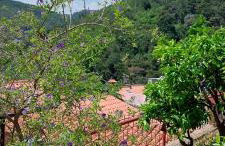 Apartment Park - Foto 21