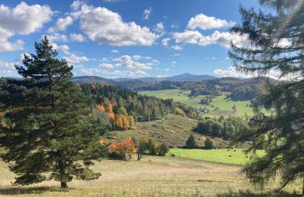Na Piotrowickiej Przełęczy - Foto 64