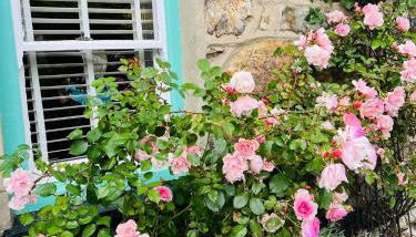 Copper Miner’s Cottage - Photo 2