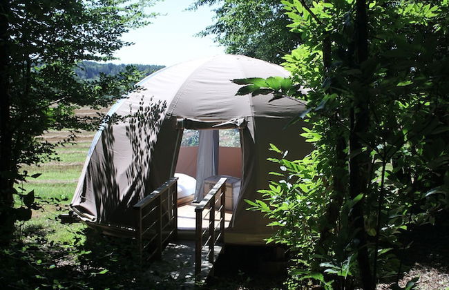 Ô bois dormant - Foto 51