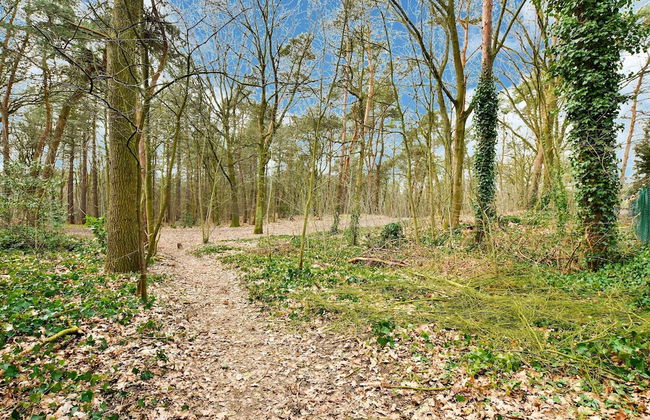 Charming Holiday Home With a Covered Terrace - Foto 34