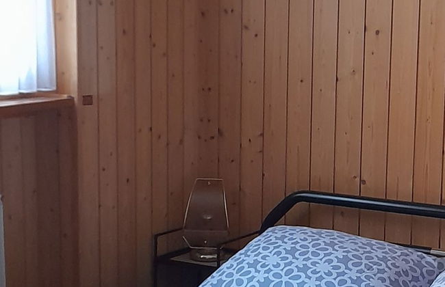 XXXTgèsa Hirundella - Foto 15