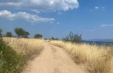 Evia Blue by Sofia - Foto 22