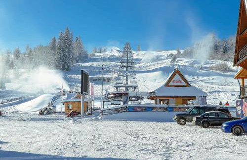 Willa Rąbanisko z sauną fińską - Foto 77