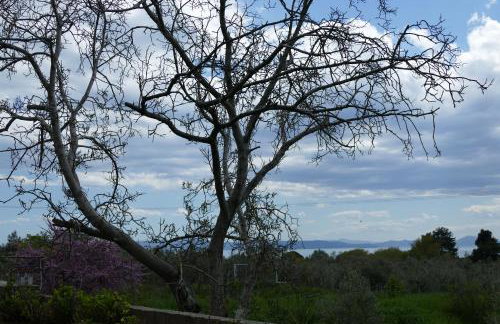 Art Villa Pelion - Foto 24