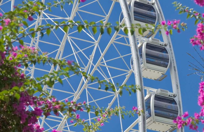 Brisbane Guided Tour - Photo 6