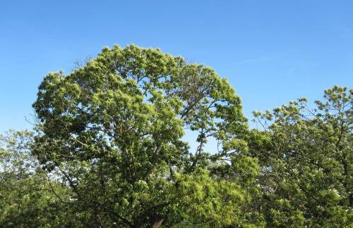 Country house Dolce Nocciola - Foto 36