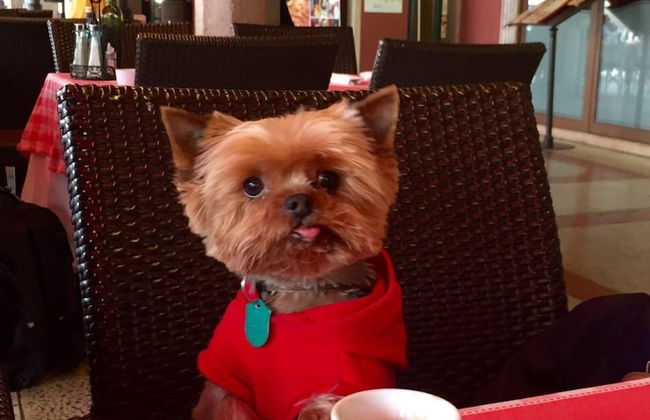 ART Garden Towers Prague - Foto 73